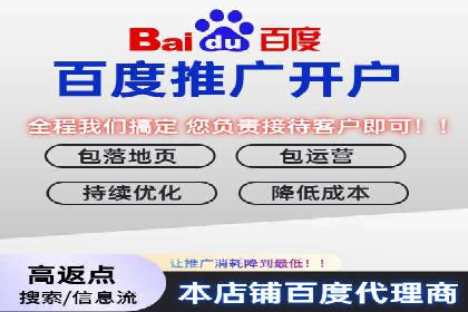 某某SEM服务公司成功案例：从数据出发的营销策略